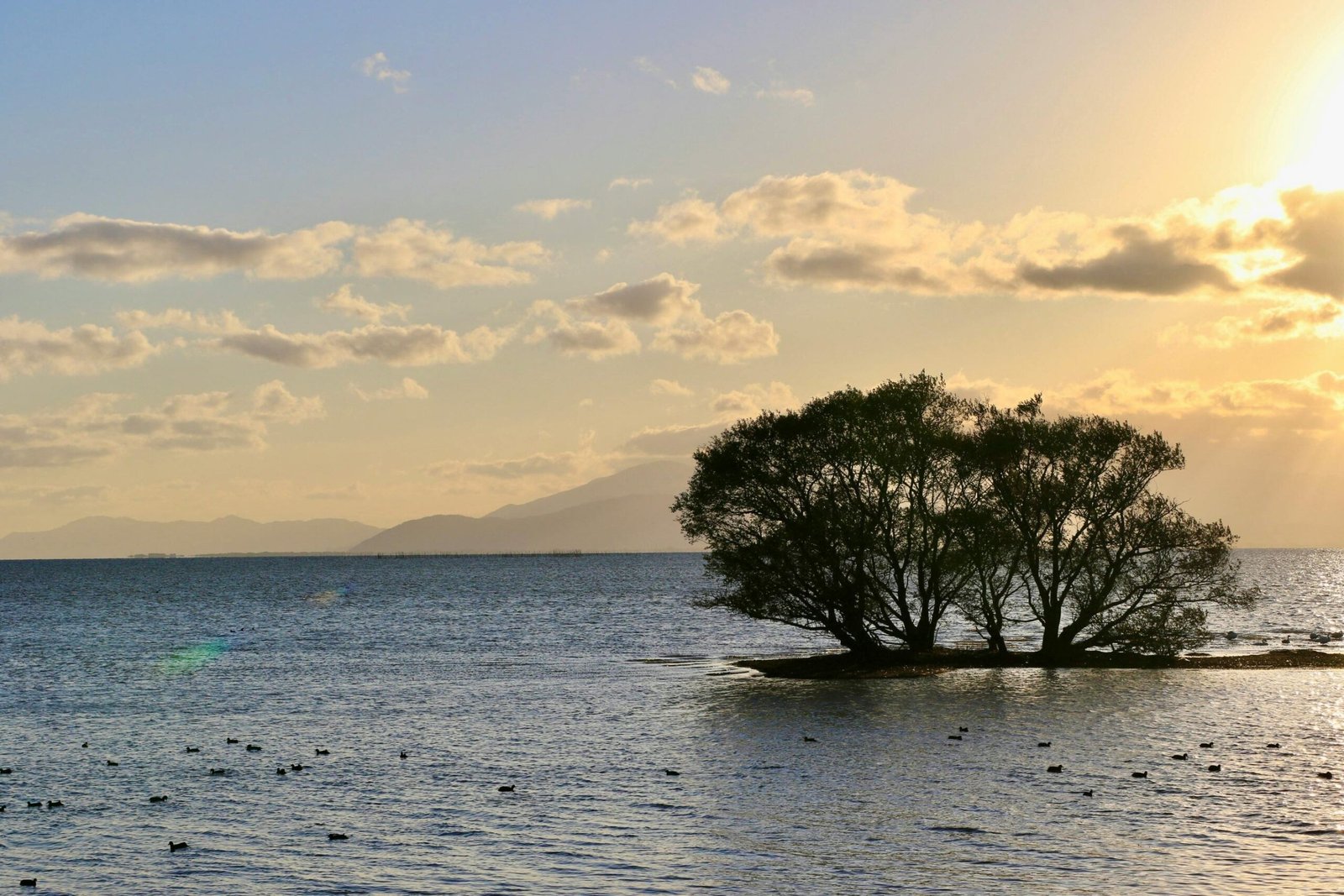 art residency program in japan